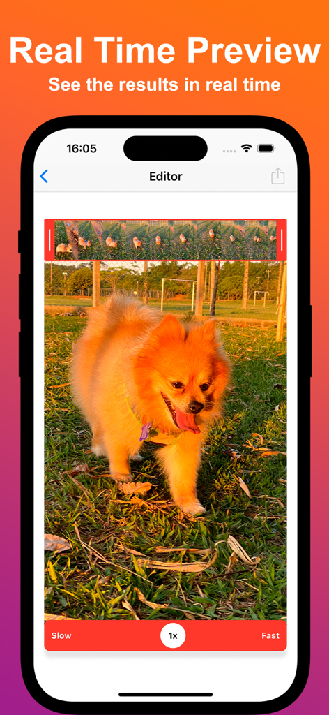 Interface of Reverse Video app showing a real-time preview of a video being edited with speed control options