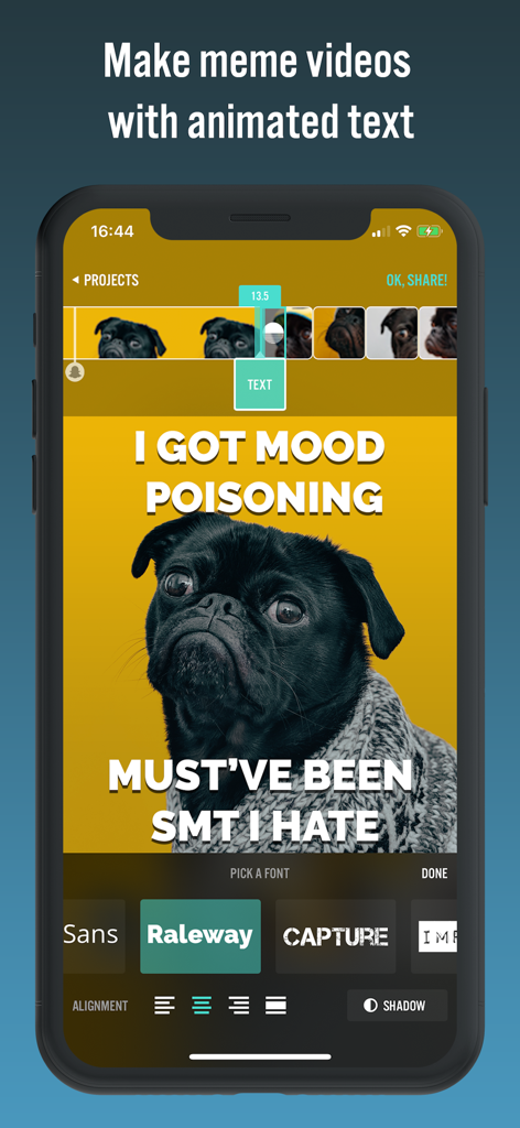Videorama app interface showing a pug meme being edited with custom fonts and animated text overlays