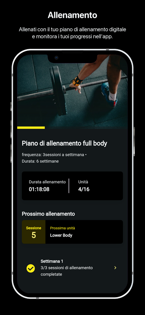My Easy Fit - Tableau de bord d'entraînement de l'application My Easy Fit affichant un programme d'entraînement complet du corps et la progression des séances
