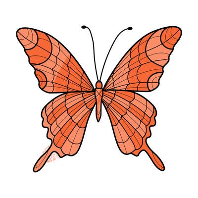 animals_17
