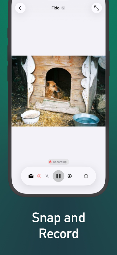 IP Camera Viewer - IPCams - IPCams app interface showing a pet camera feed with recording and snapshot controls