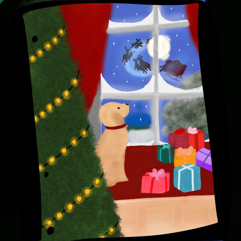 blank white page with nothing drawn on it