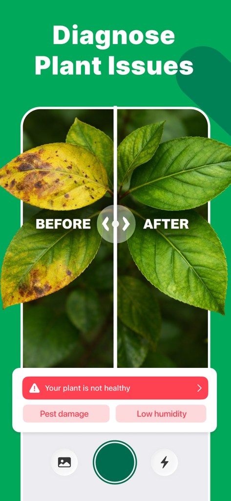 Plant AI App-Oberfläche, die Pflanzenkrankheitsdiagnosen und einen Vergleich gesunder Blätter zeigt.