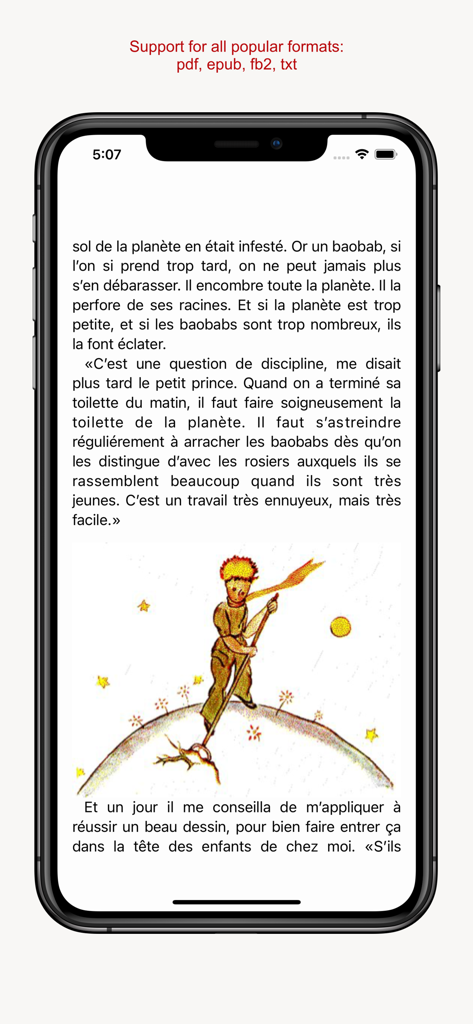 Schermata dell'app Read and Learn Pro che mostra un libro francese e un elenco di formati di file supportati.
