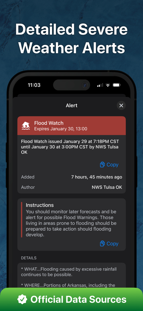 RainViewer: Live Weather Radar - RainViewerアプリ、詳細な厳しい気象洪水警報を表示