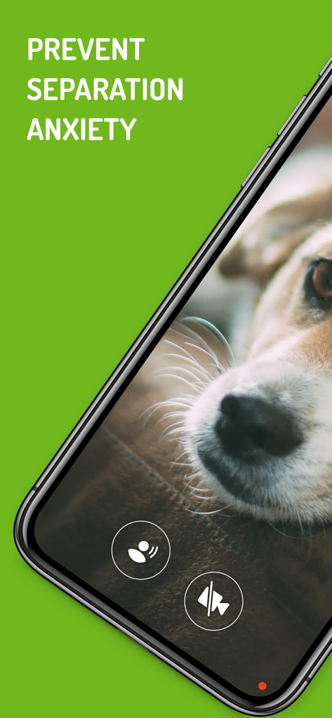 Dog Monitor - 分離不安を防ぐというテキストとともに、犬のクローズアップを示すドッグモニターアプリのインターフェース