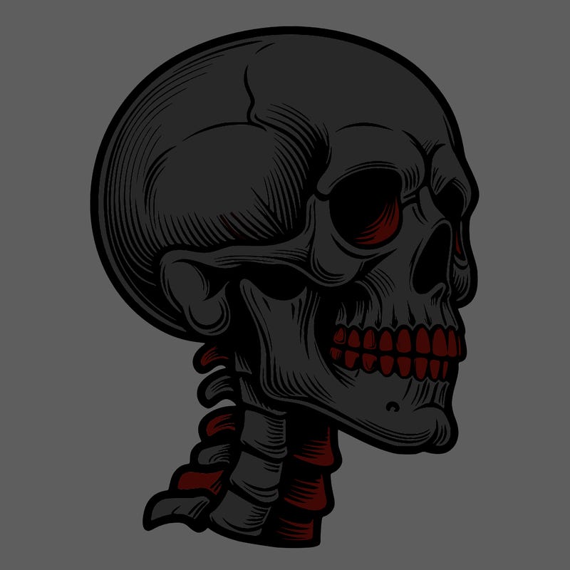 realistic skeleton head