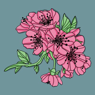 flowers_03