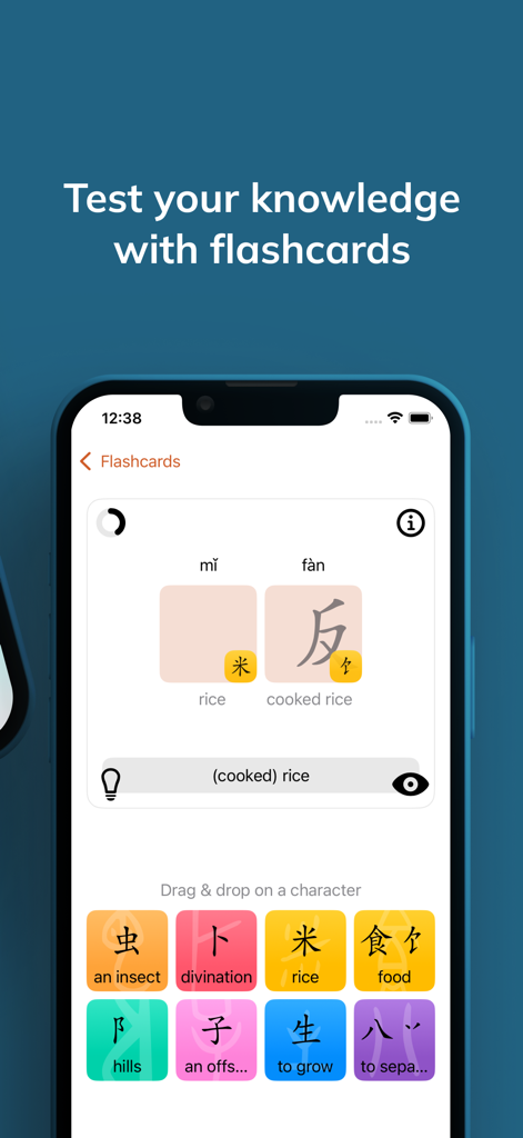 Wen - Chinese Character Origin - Une interface mobile montrant des cartes mémoire pour tester la connaissance des caractères et des radicaux chinois.