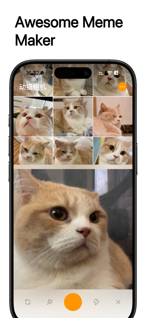 Jumcat Camera | Create Hilarious Cat Memes & Viral Photos