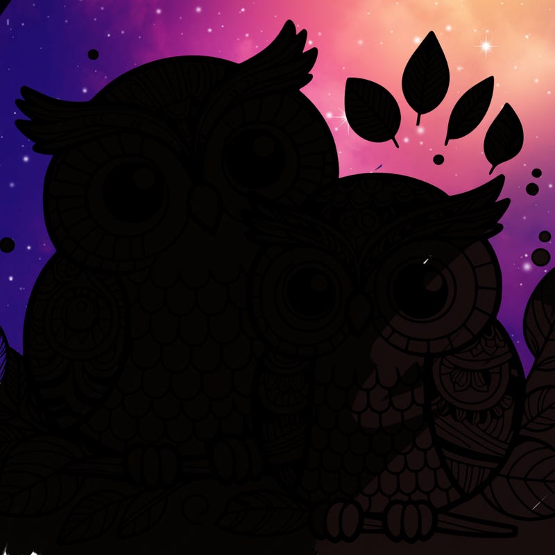 owls