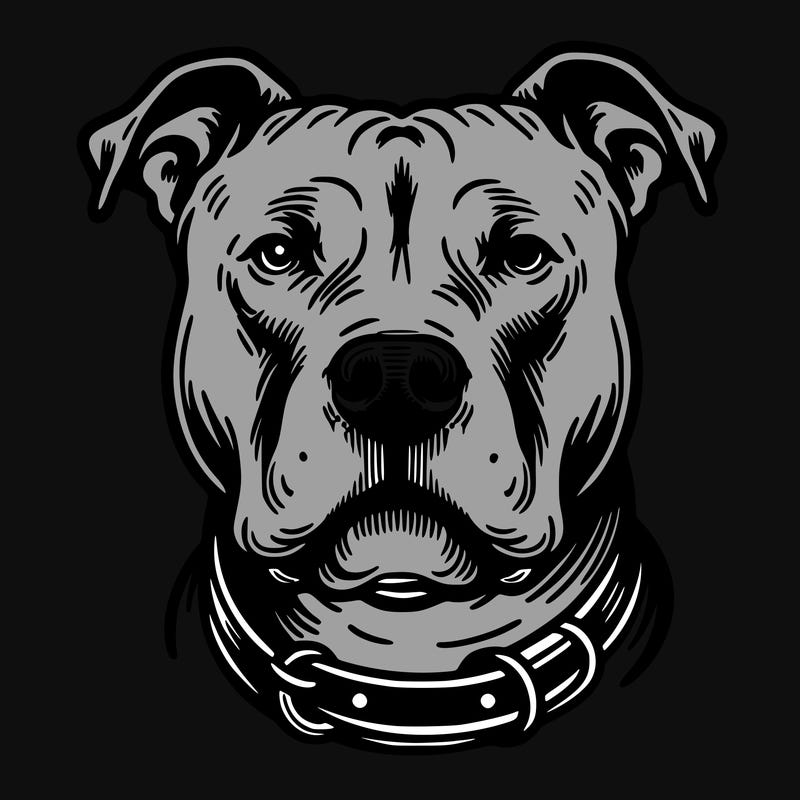 pitbull dog drawing