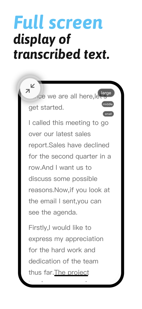 Un telefono cellulare che visualizza una vista a schermo intero di un report di riunione trascritto con dimensioni di carattere regolabili.