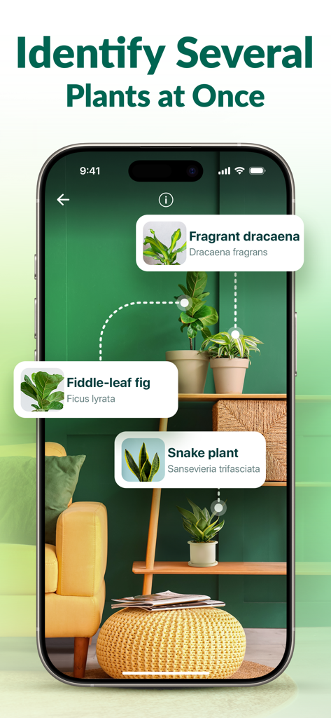 Plantum - AI Plant Identifier - Interface do aplicativo Plantum mostrando identificação simultânea de várias plantas de interior, incluindo um Ficus lyrata e uma Planta-serpente