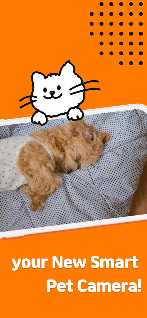 Dogibo: Pet Cam App, AI Care - A sleeping dog being monitored through the Dogibo pet camera app interface