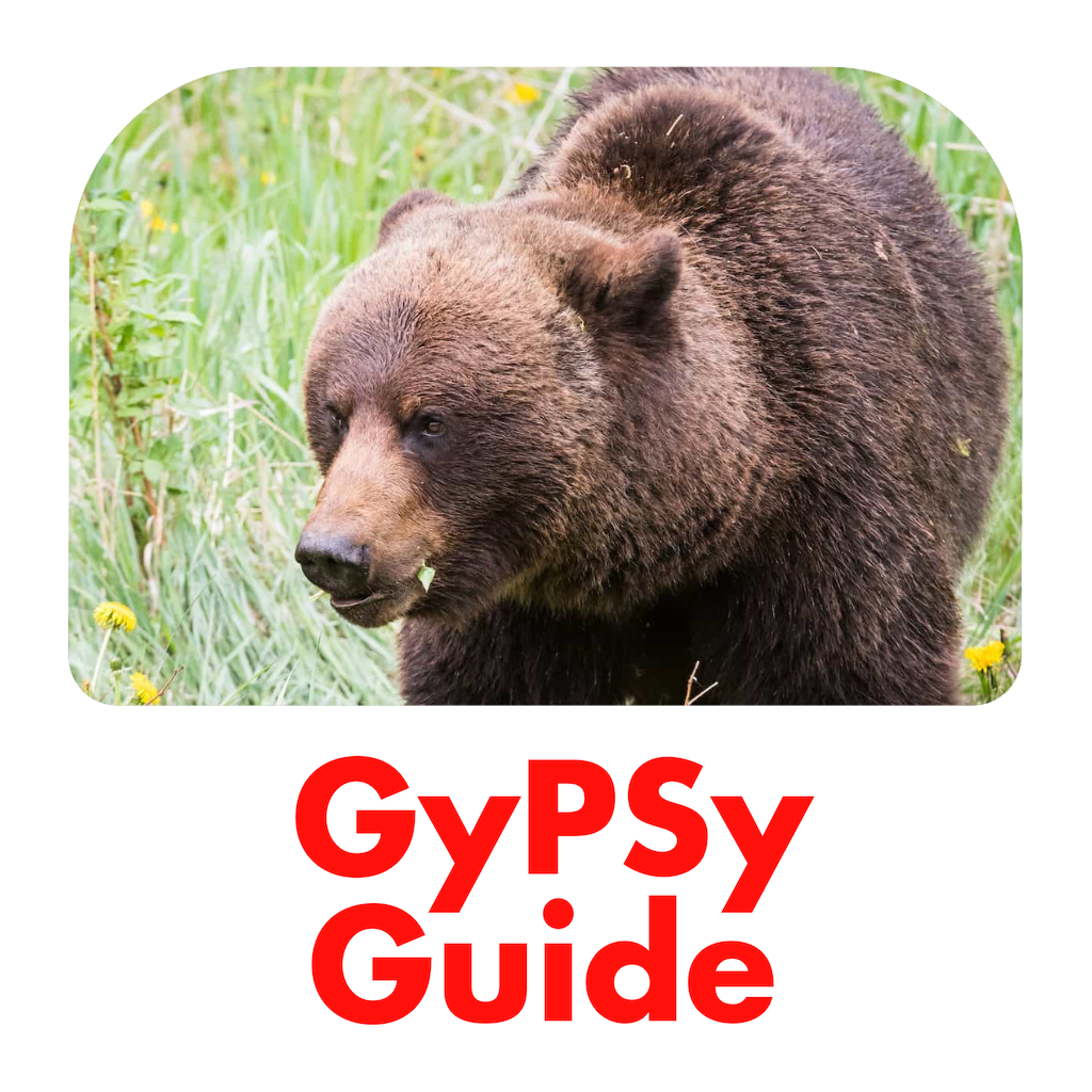 Canadian Rockies GyPSy Guide - Travel App | MWM
