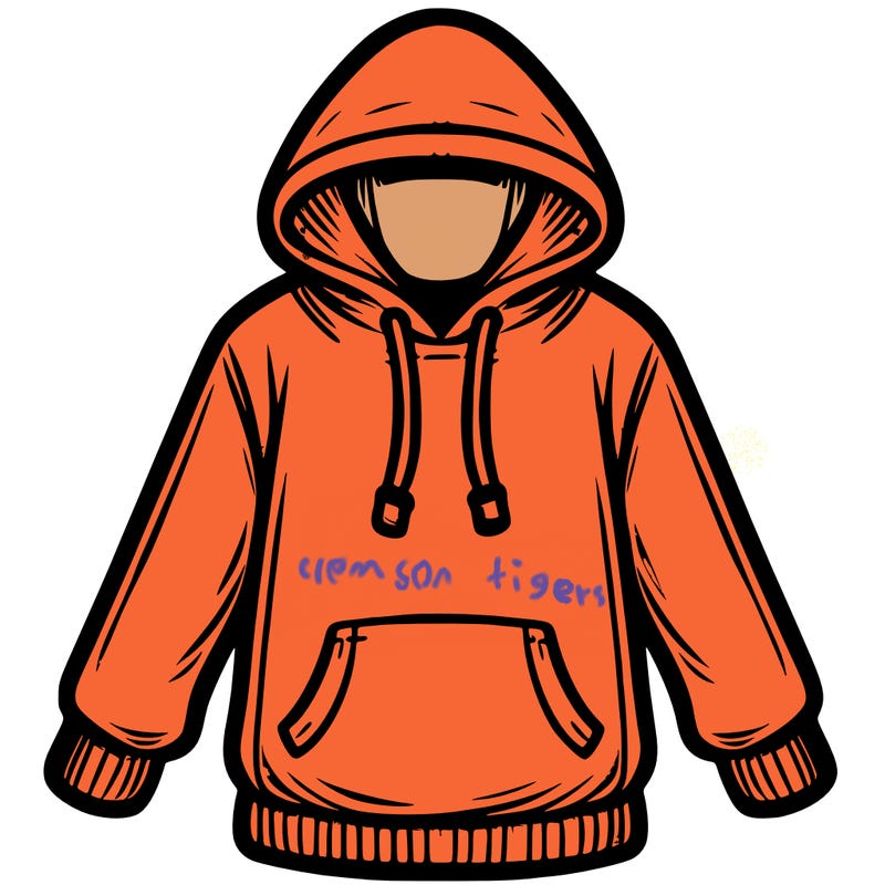 hoodie
