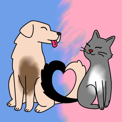 animals_22
