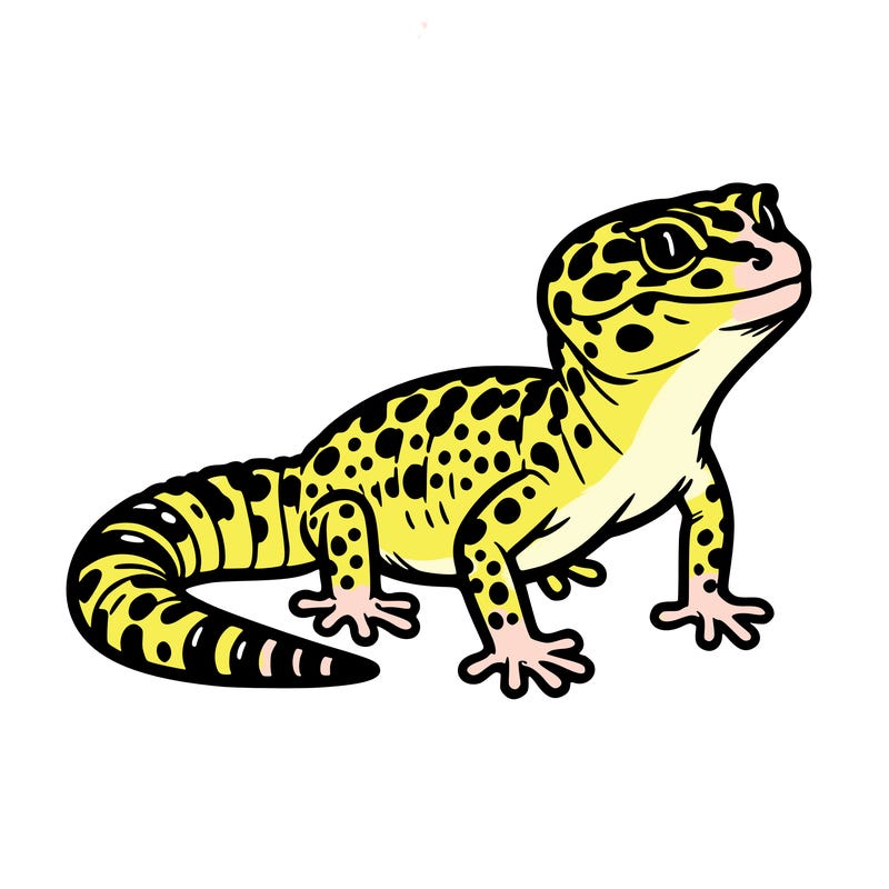 leopard gecko