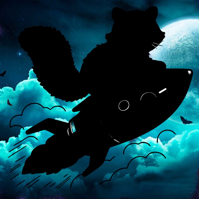 realistic raccoon flying on top rocket ship