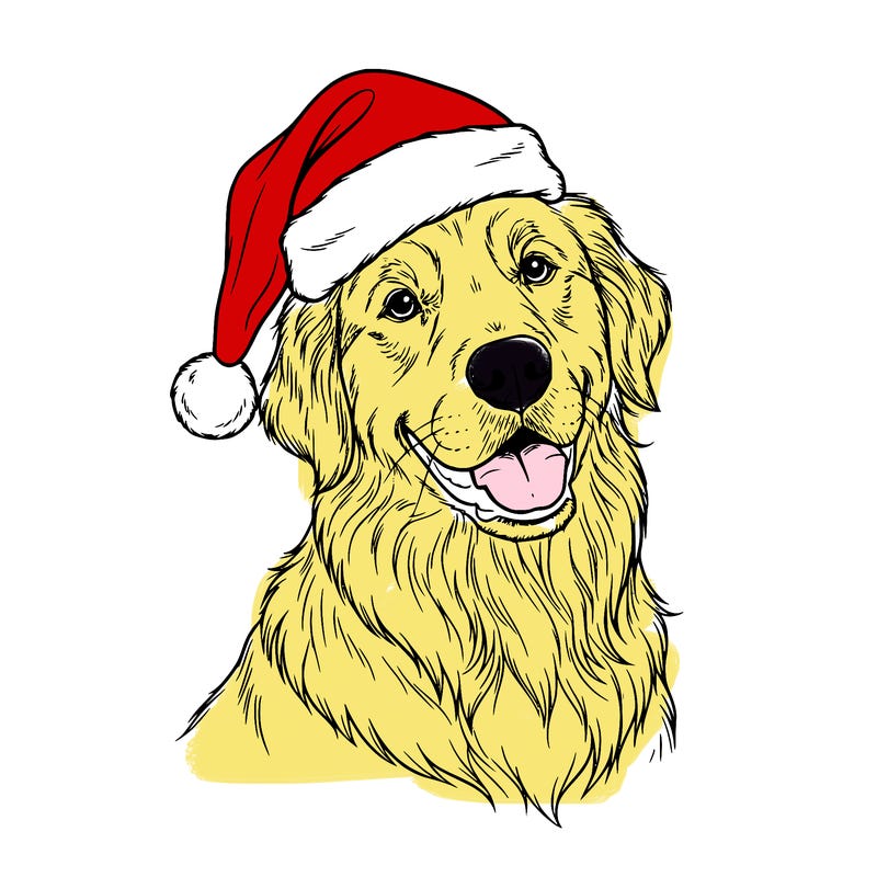 golden retriever with a santa hat on