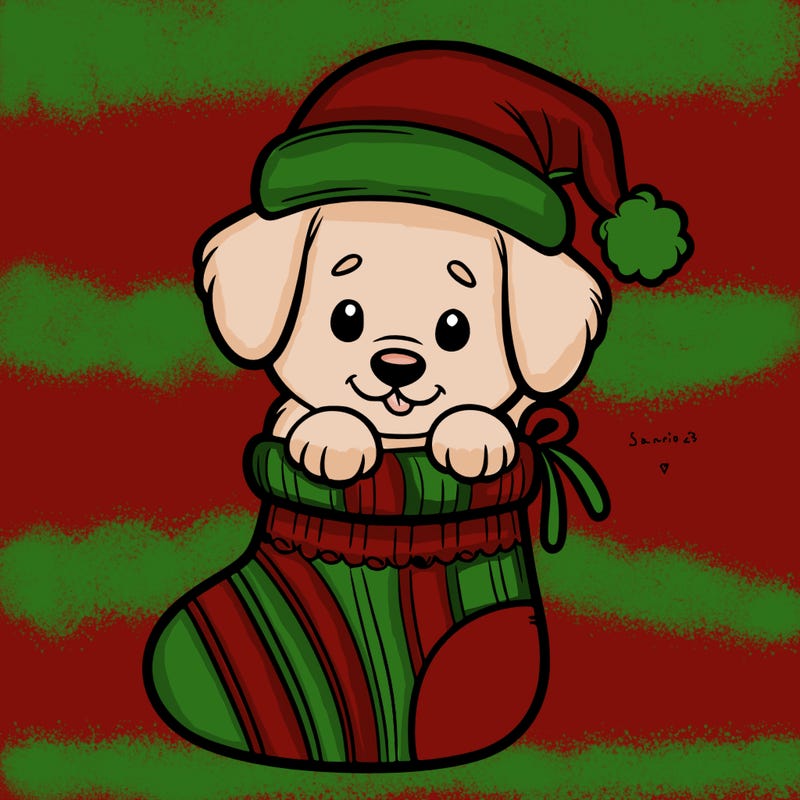 cute puppy wearing santa hat in socking