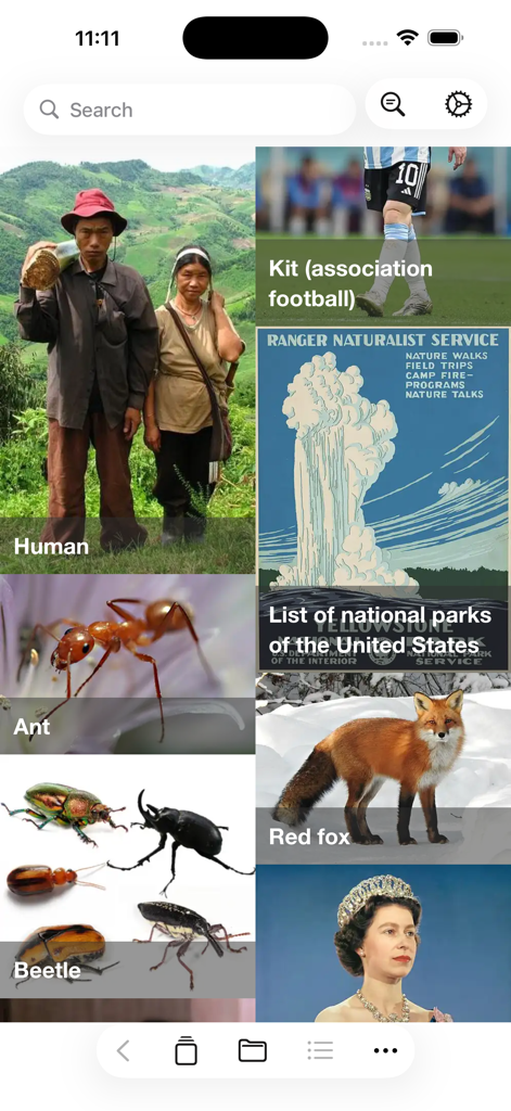 Kiwix app interface displaying a search bar and a grid of educational topic cards for offline browsing.
