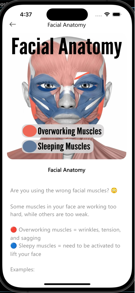 Koko Face Yoga - Diagram of facial muscles showing overworking and sleeping areas