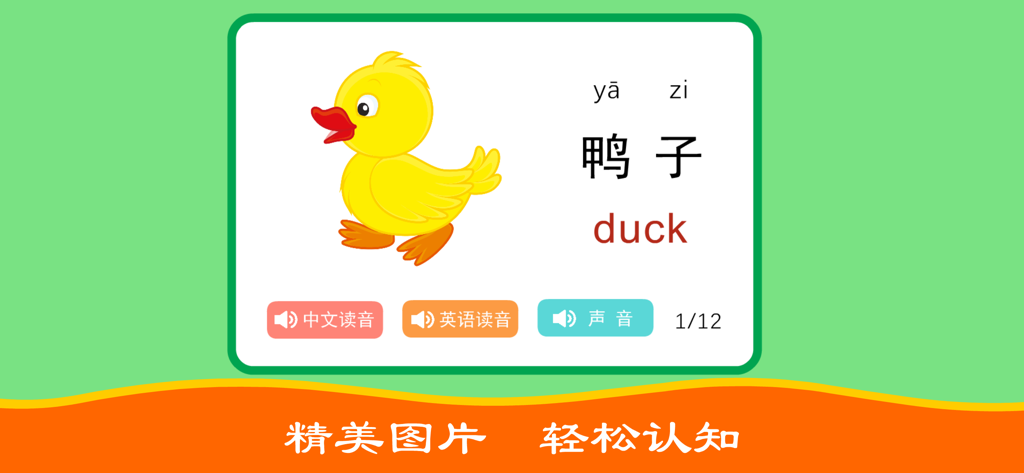 Interactive bilingual flashcard for a duck with Mandarin characters and English labels