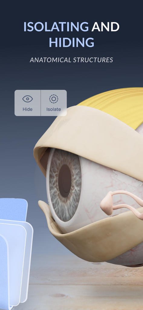 VOKA 3D Anatomy & Pathology - VOKA 3D Anatomy app interface showing a detailed eye model with options to isolate and hide anatomical structures