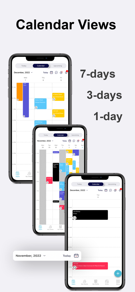 Ring My Stylist: Booking App - Ring My Stylist app interface showing daily and weekly calendar views for appointment scheduling