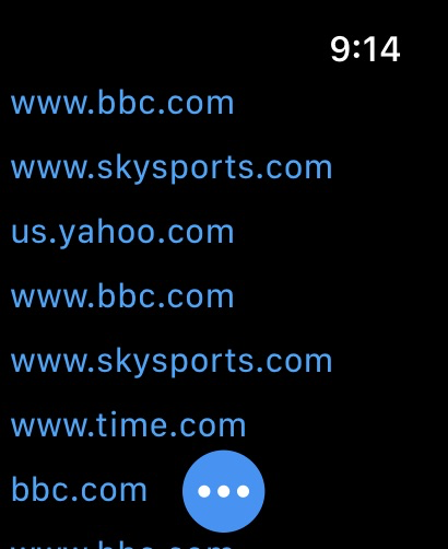LAZER Browser - A list of website bookmarks on the LAZER Browser Apple Watch app