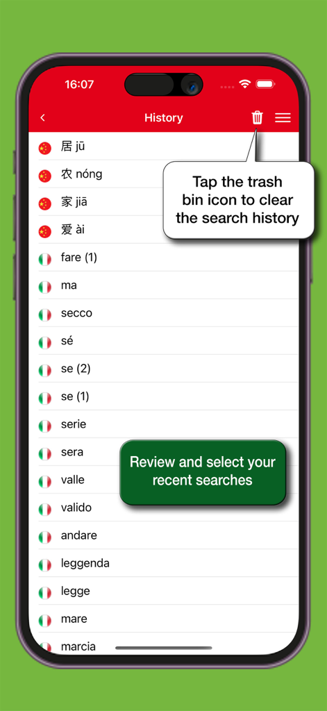 Écran de l'historique de recherche dans l'application Dizionario Cinese Hoepli montrant les recherches récentes de mots chinois et italiens