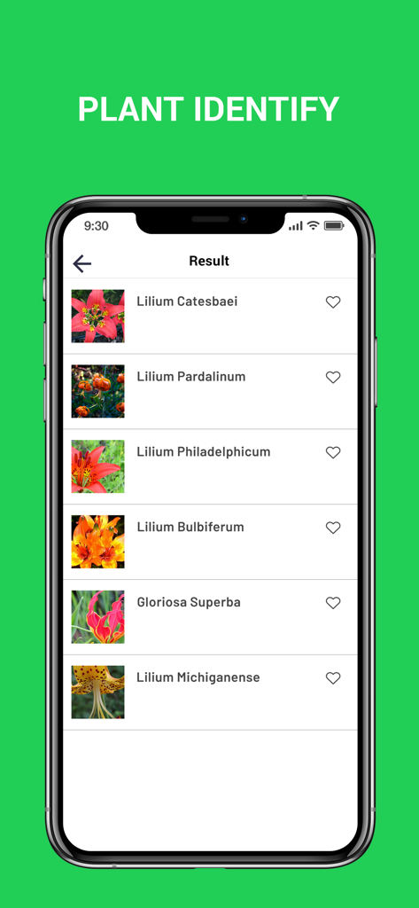 Plant Snap : Identify Plant - Schermata dei risultati di ricerca nell'app Plant Snap che mostra le specie di giglio identificate con nomi scientifici e immagini in miniatura.