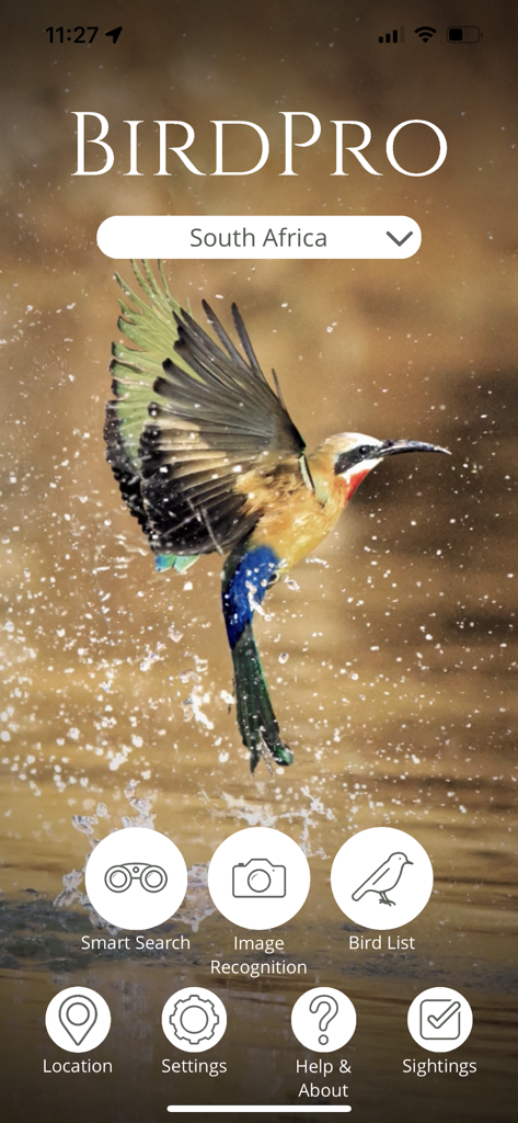 BirdPro - BirdPro 앱 홈 화면, 날아가는 새와 식별 및 관찰을 위한 탐색 아이콘 표시