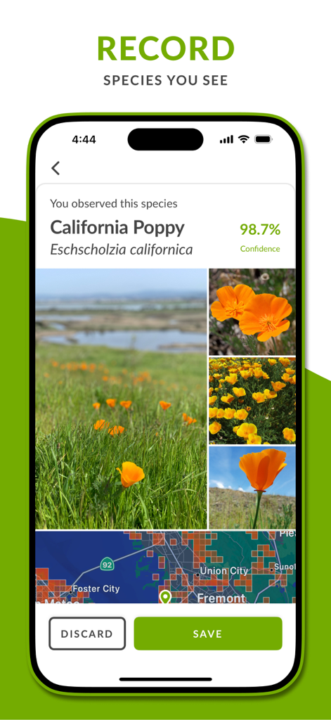 iNaturalist - Interfaz de la aplicación iNaturalist que muestra un registro de especie de Amapola de California con confianza de identificación y mapa de ubicación.