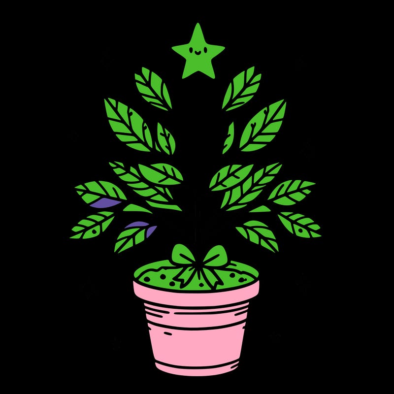 christmas plant