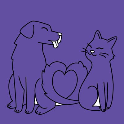 animals_22