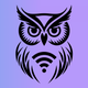 Owl VPN: Fast & Simple Proxy