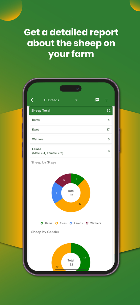My Sheep Manager - Farming app - A detailed flock report in the My Sheep Manager app showing sheep statistics and distribution charts by stage and gender