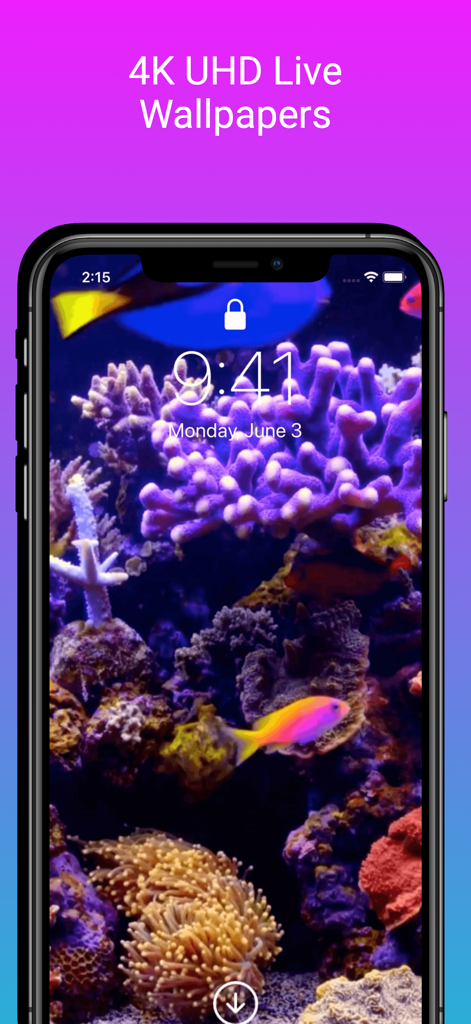 Live Wallpapers 4K - LiveInto - カラフルなサンゴ礁と熱帯魚の鮮やかな4K UHDライブ壁紙を表示するiPhoneのロック画面