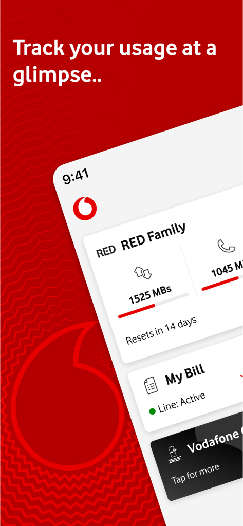Ana Vodafone app interface showing mobile data usage and account billing status