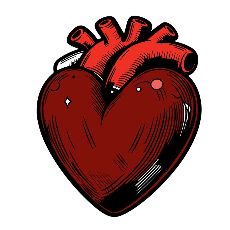 realistic heart