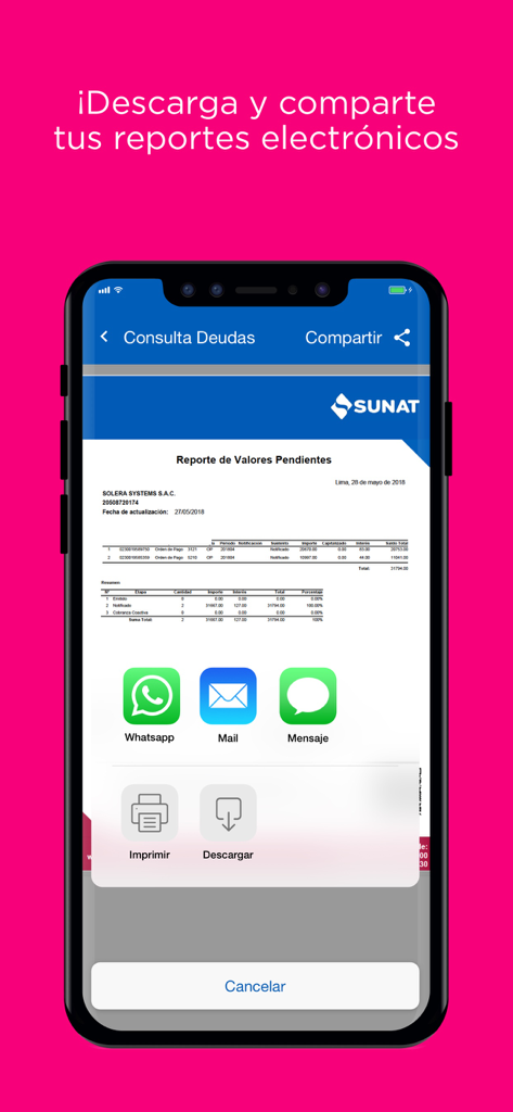 Emprender SUNAT - Pantalla móvil de Emprender SUNAT mostrando opciones para descargar o compartir informes fiscales a través de varias aplicaciones.