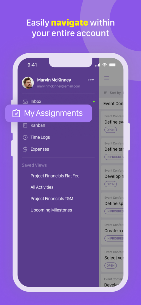 Interface de l'application Birdview montrant le menu de navigation avec des options pour les affectations, les journaux de temps et les finances du projet.