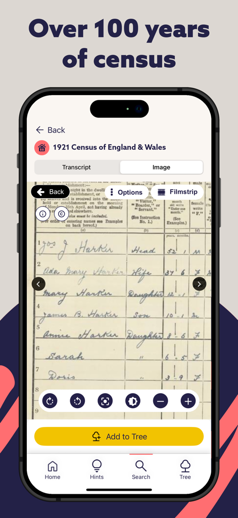 Findmypastアプリでの1921年イングランドとウェールズ国勢調査記録の表示。