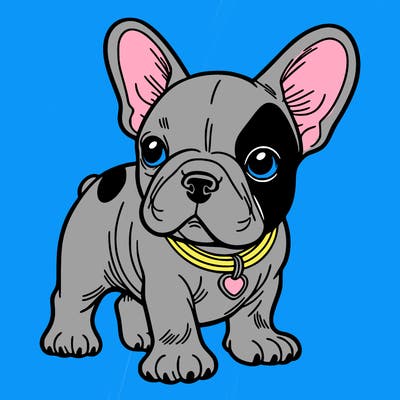 french bulldog