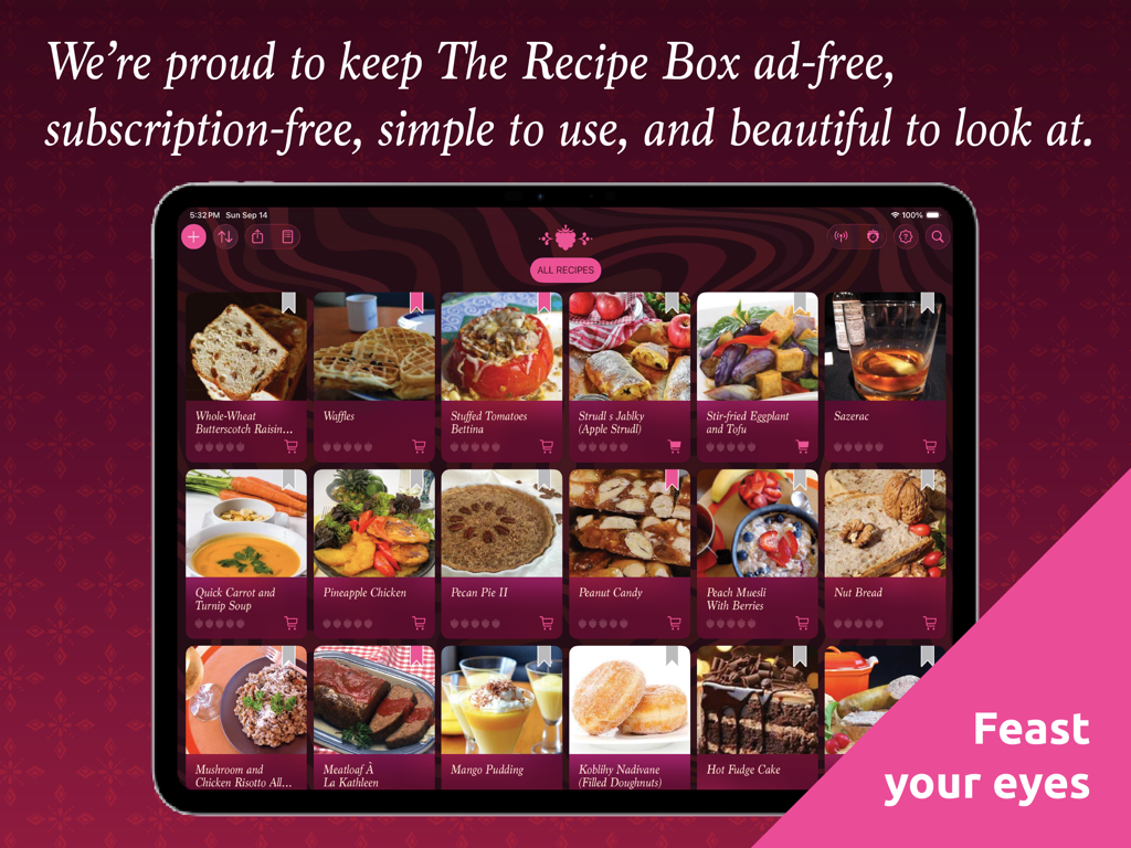 A screenshot of The Recipe Box app on an iPad displaying a colorful grid of food recipes with an ad free interface