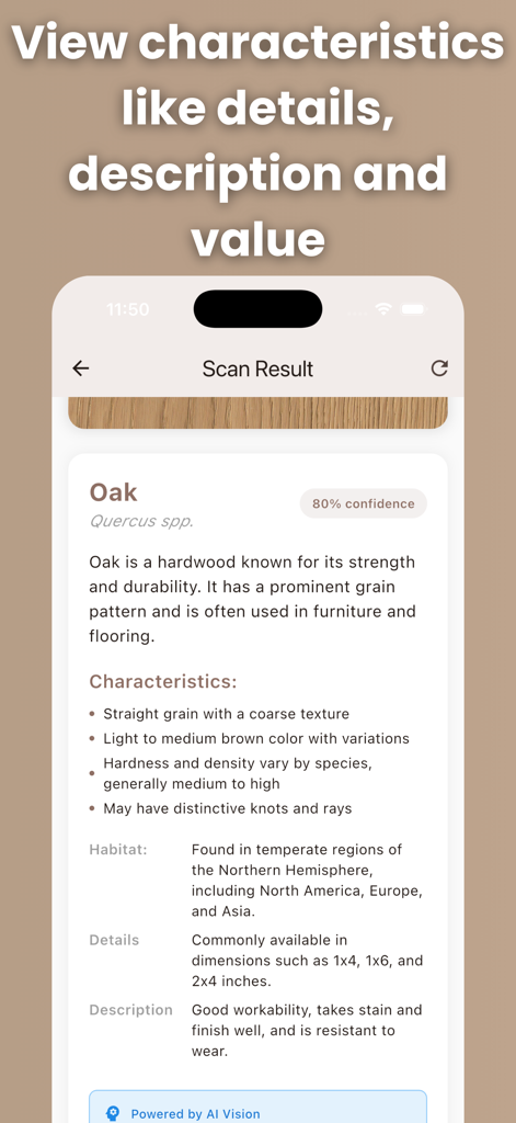 Detailed scan result for Oak wood in the Wood Identifier app showing characteristics and habitat information
