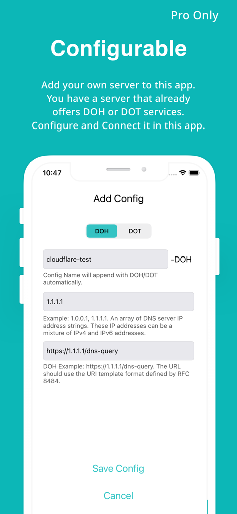 DNS 보안 앱의 DoH 및 DoT용 맞춤형 DNS 서버 구성 화면